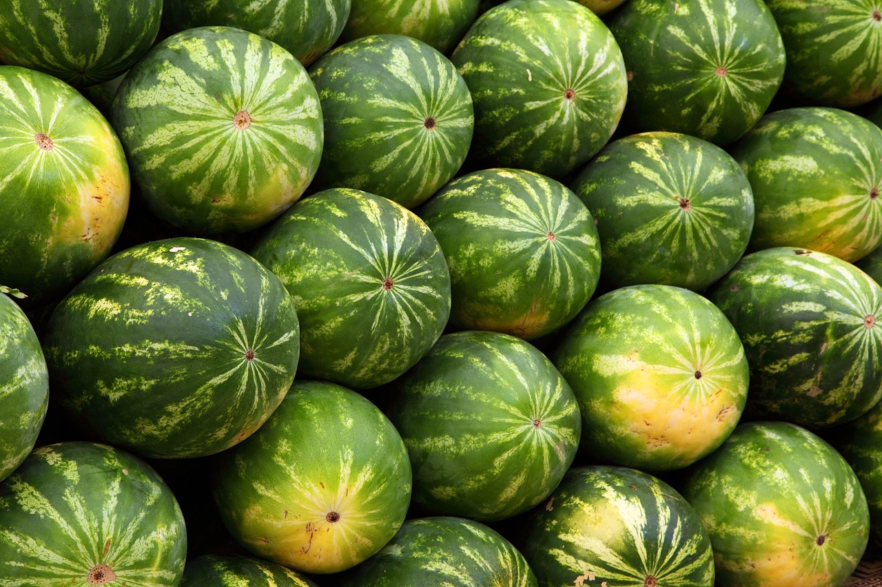 Doplnková 1